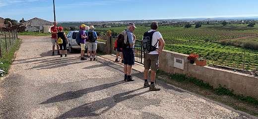 313: IMG_2543<br>  2020-02-17