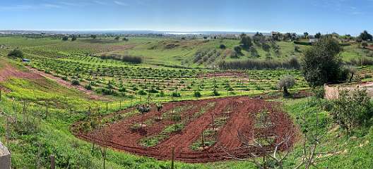 314: IMG_2545<br>  2020-02-17