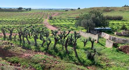 315: IMG_2546<br>  2020-02-17