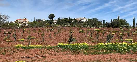 317: IMG_2550<br>  2020-02-17