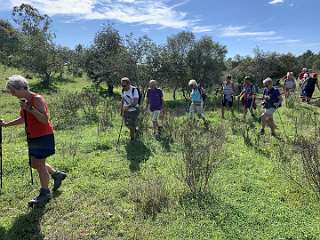 322: IMG_2558<br>  2020-02-17