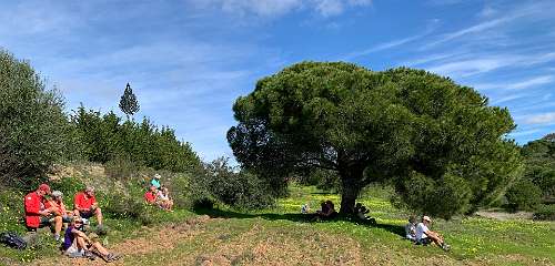 323: IMG_2560<br>  2020-02-17