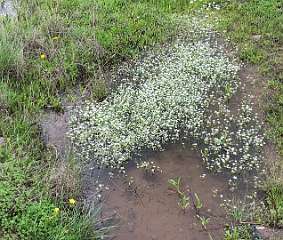 325: IMG_2562<br>  2020-02-17