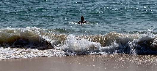 327: IMG_2568<br>  2020-02-19