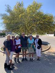 331: IMG_2587<br>  2020-02-22