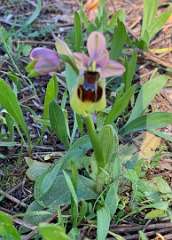 343: IMG_2625<br>  2020-02-23