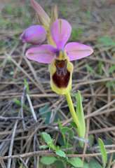 344: IMG_2627<br>  2020-02-23