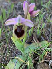 345: IMG_2628<br>  2020-02-23