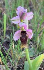 346: IMG_2630<br>  2020-02-23