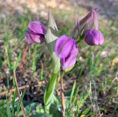 347: IMG_2632<br>  2020-02-23