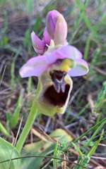 348: IMG_2633<br>  2020-02-23