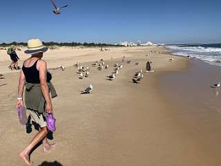 349: IMG_2634<br>  2020-02-23