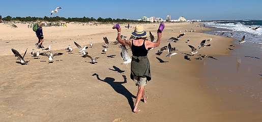 350: IMG_2635<br>  2020-02-23