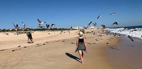 351: IMG_2636<br>  2020-02-23