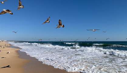 352: IMG_2638<br>  2020-02-23