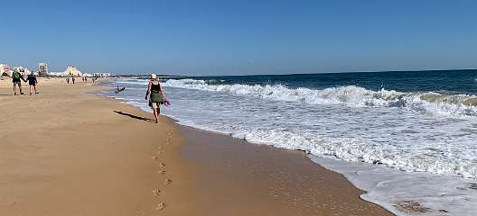 353: IMG_2640<br>  2020-02-23