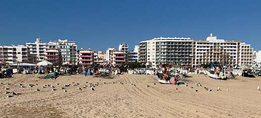 354: IMG_2642<br>  2020-02-23