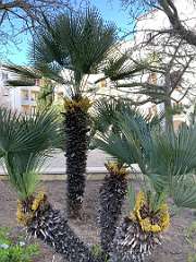 360: IMG_2656<br>  2020-02-24