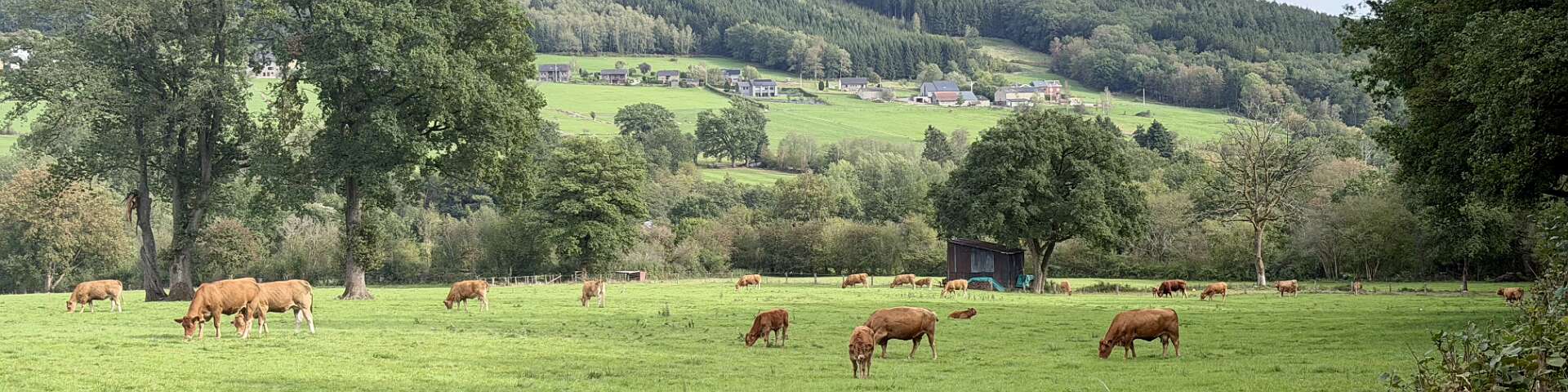 Klik om de knoppen te tonen of te verbergen