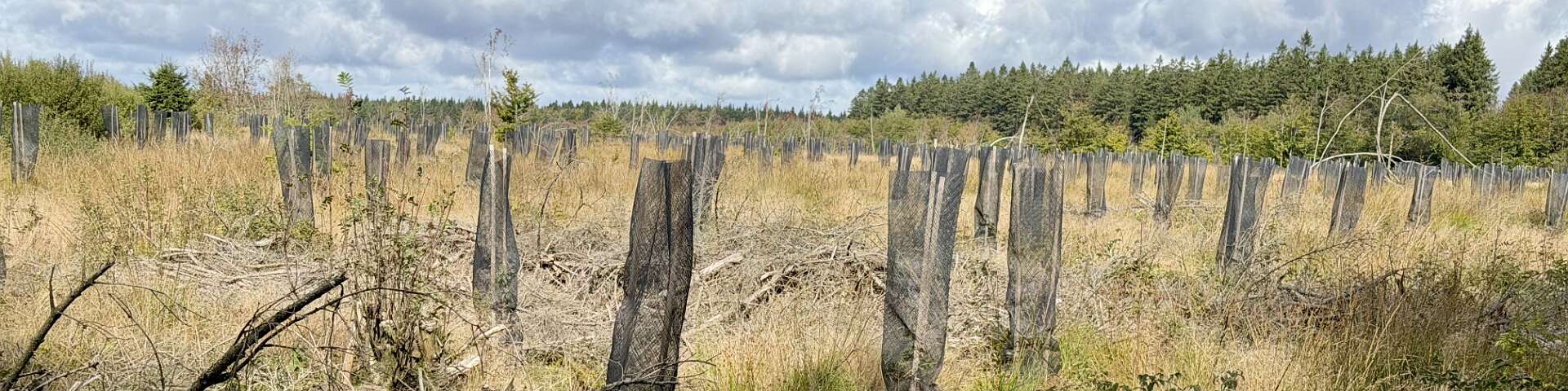 Klik om de knoppen te tonen of te verbergen