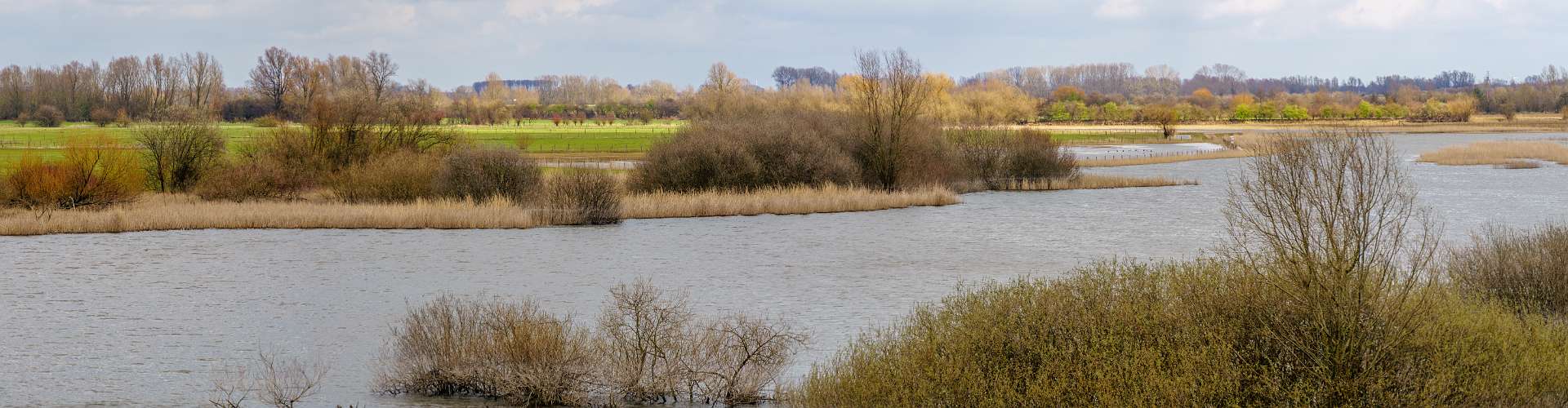 Klik om de knoppen te tonen of te verbergen