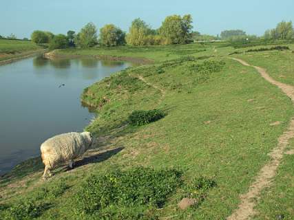 Bommelerwaard Gamerense Waarden