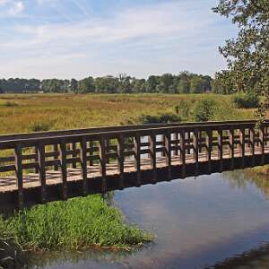 Fietstocht door het NP Drentsche Aa