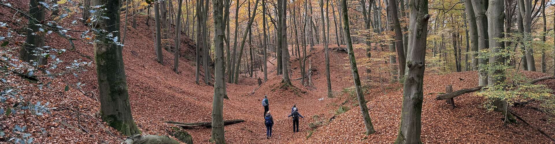 Klik om de knoppen te tonen of te verbergen