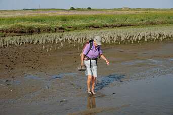 Wandeling naar het wrak aan de oostpunt