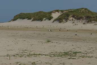 Wandeling langs de Möwendüne