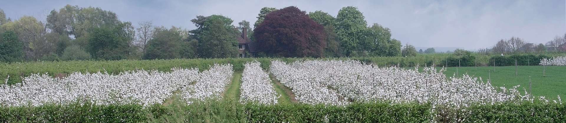 Click to show or hide the buttons