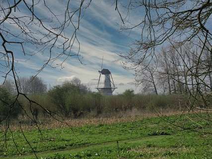 De molen tussen Deil en Enspijk vanaf het landgoed Mariënwaard