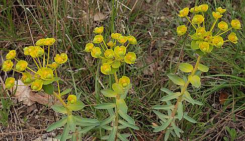 1: Vallon_Pont_dArc_120508_0957