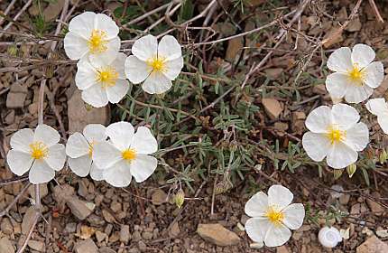 4: Vallon_Pont_dArc_120508_1008