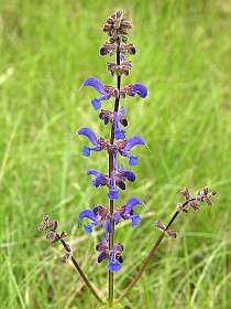 8: Vallon_Pont_dArc_120508_1024