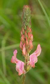 9: Vallon_Pont_dArc_120508_1026