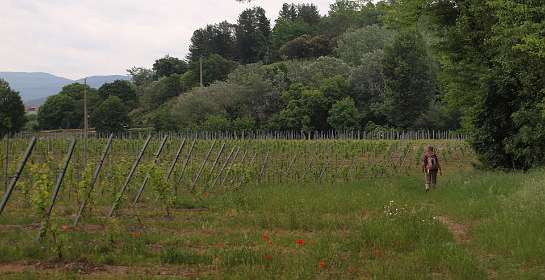 28: Vallon_Pont_dArc_120508_1424