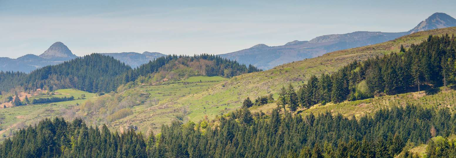 Klik om de knoppen te tonen of te verbergen