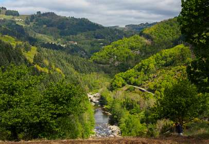 2: 170509101244Brion