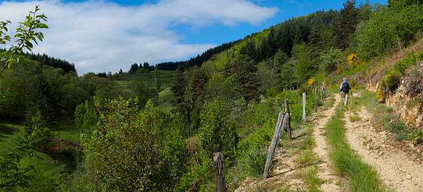 4: 170509102419Brion-Pano