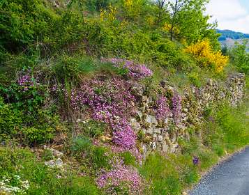 5: 170509103426Brion