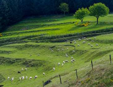 6: 170509104852Brion