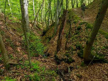 8: 170509110718Brion-HDR