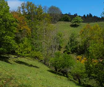 9: 170509110934Brion