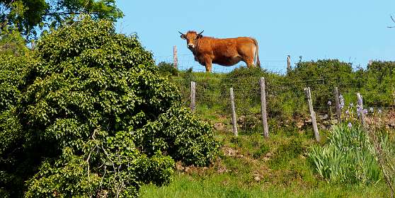 10: 170509111607Brion