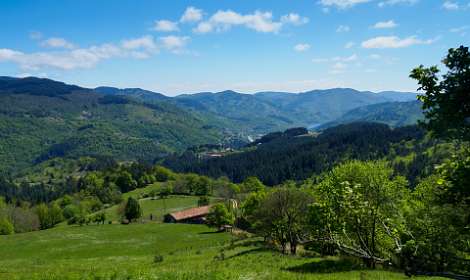 13: 170509114146Brion