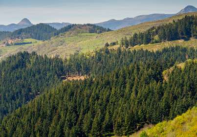 17: 170509121319Brion<br>Links Le Gerbier de Jonc bij de bron van de Loire