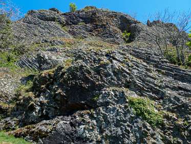 19: 170509122423Brion