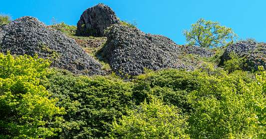 21: 170509122649Brion