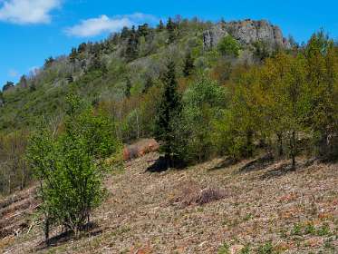 29: 170509134627Brion<br>Ranc d'Uestre